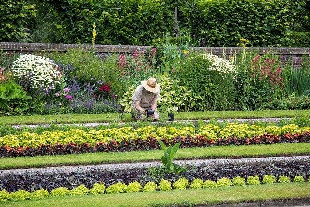 The Complete Recovery Guide to Maintaining Your Back After Gardening